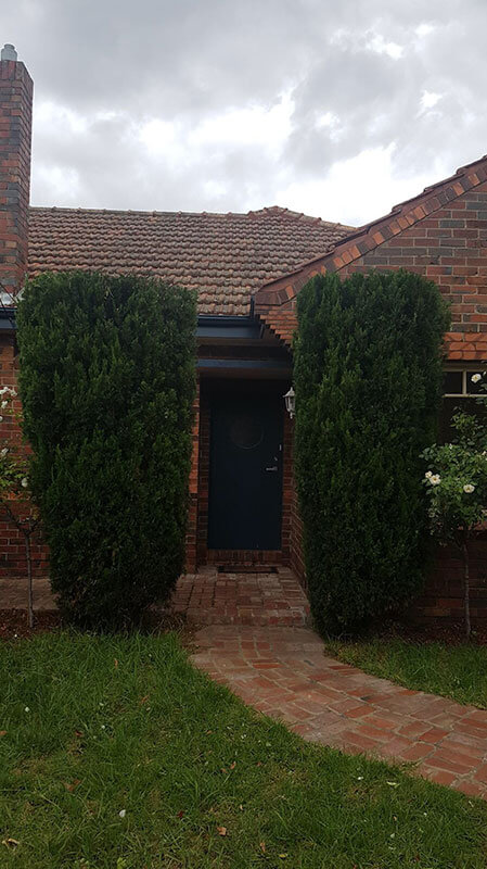 Hedging and Pruning Service Hedging and Pruning Service