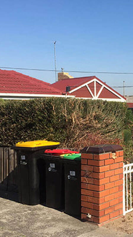 Hedging and Pruning Service Hedging and Pruning Service