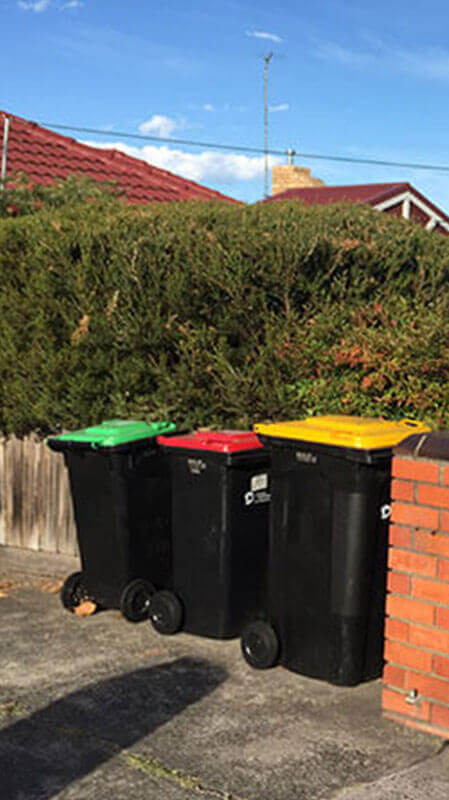 Hedging and Pruning Service Hedging and Pruning Service