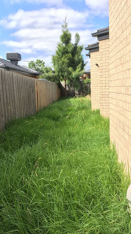 Lawn Mowing Services Lawn Mowing Services