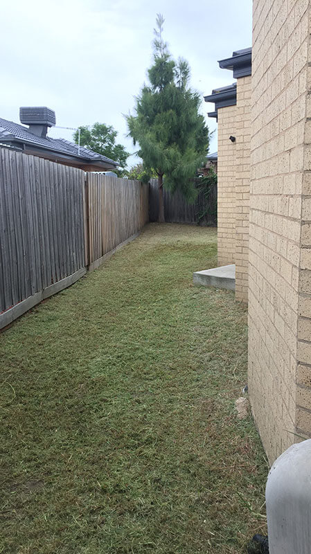 Lawn Mowing Services Lawn Mowing Services