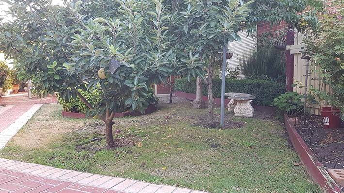 Landscaping Services Landscaping Services