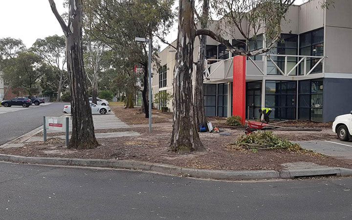 Landscaping Services Landscaping Services