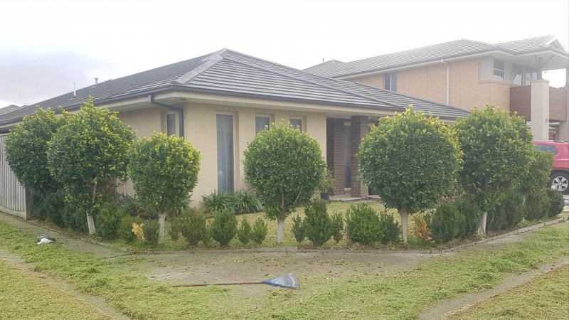 Landscaping Services Landscaping Services