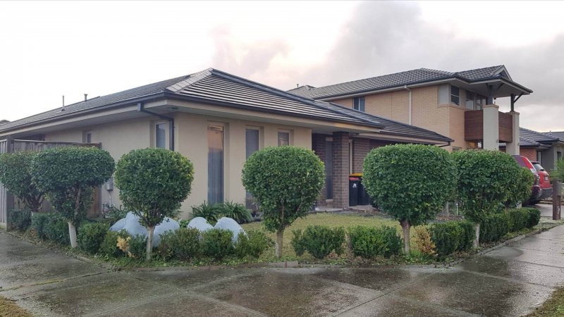Landscaping Services Landscaping Services