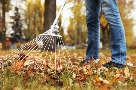 Rubbish Removal Services Rubbish Removal Services