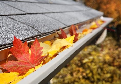 Gutter Cleaning Service Image