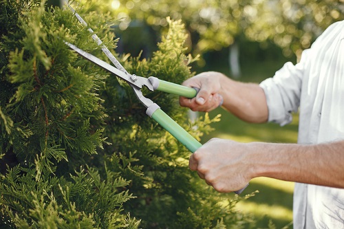 Garden Mulching Services at Melbourne Garden Mulching Services at Melbourne