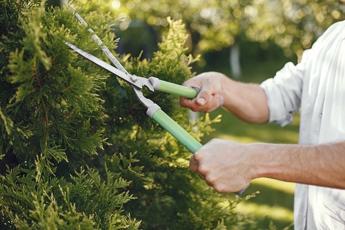 Garden Mulching Services at Melbourne